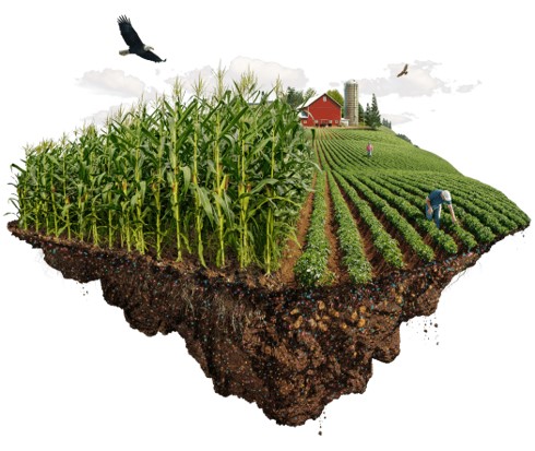 Hassas ve Akıllı Tarım Uygulamaları ve Danışmanlık